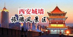 鸡巴插进女牛的b视频中国陕西-西安城墙旅游风景区